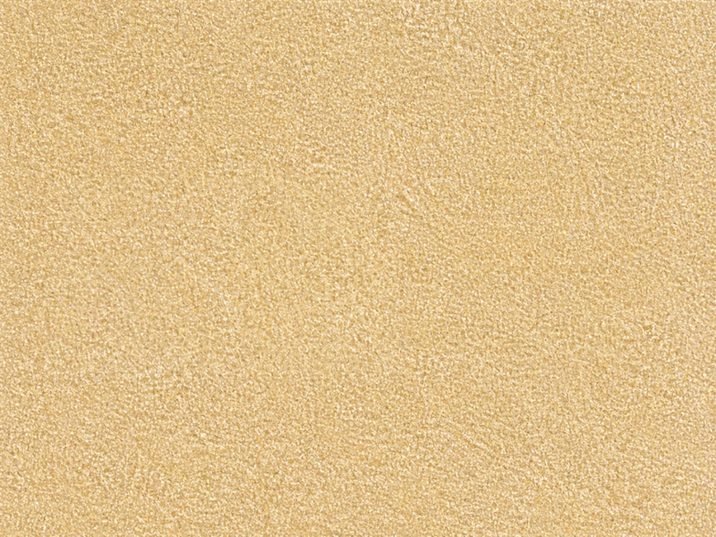 Animamundi — decorative paint surface sample, code AMG 15652