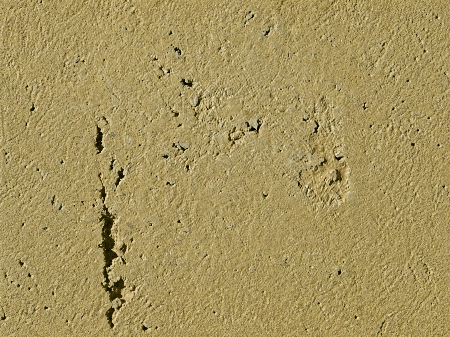 Archi+ Argilla — decorative paint surface sample, code ARCHI+ ARGILLA 204