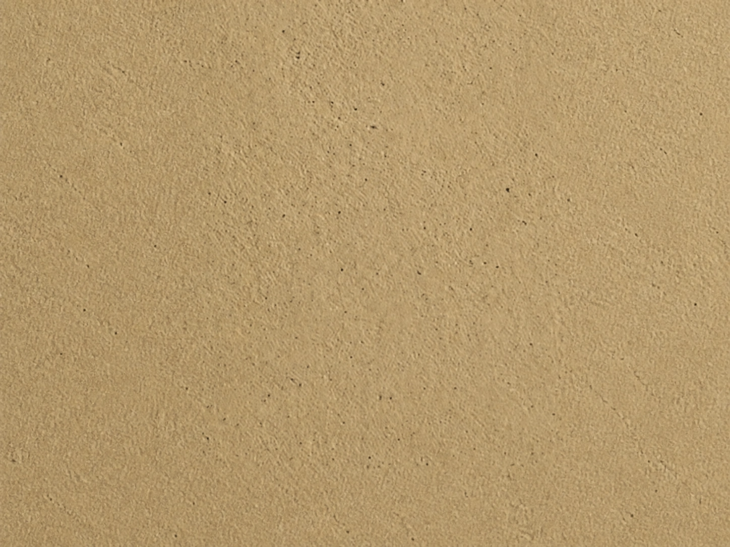 CalceCruda — decorative paint surface sample, code 16060