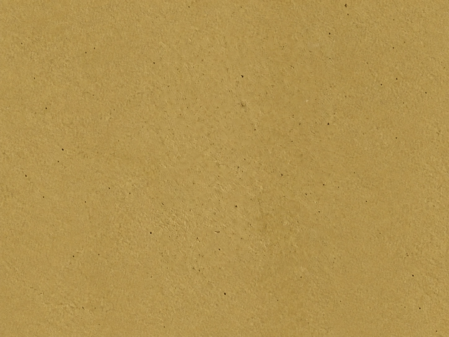 CalceCruda — decorative paint surface sample, code 16061