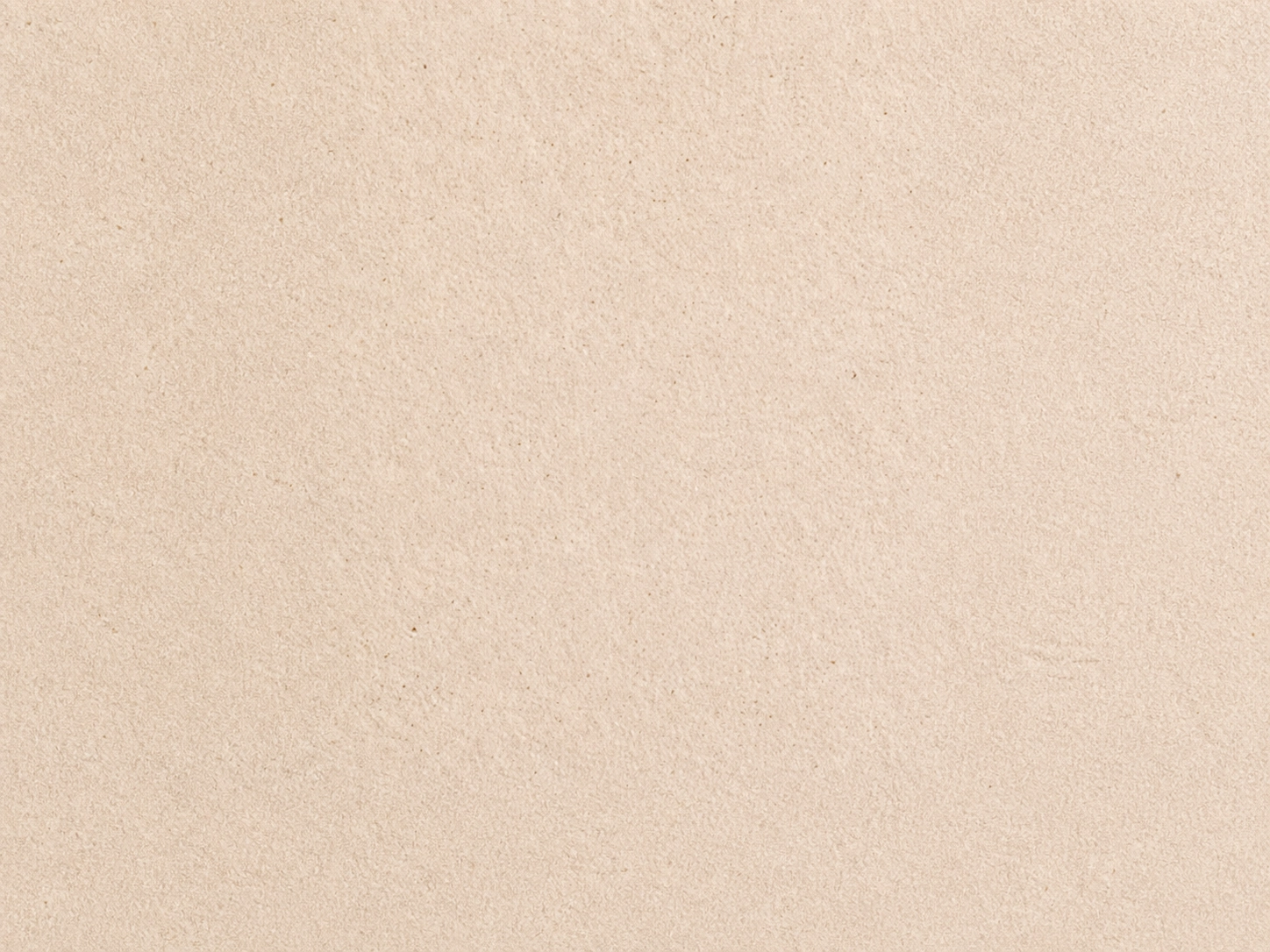 CalceCruda — decorative paint surface sample, code 17020