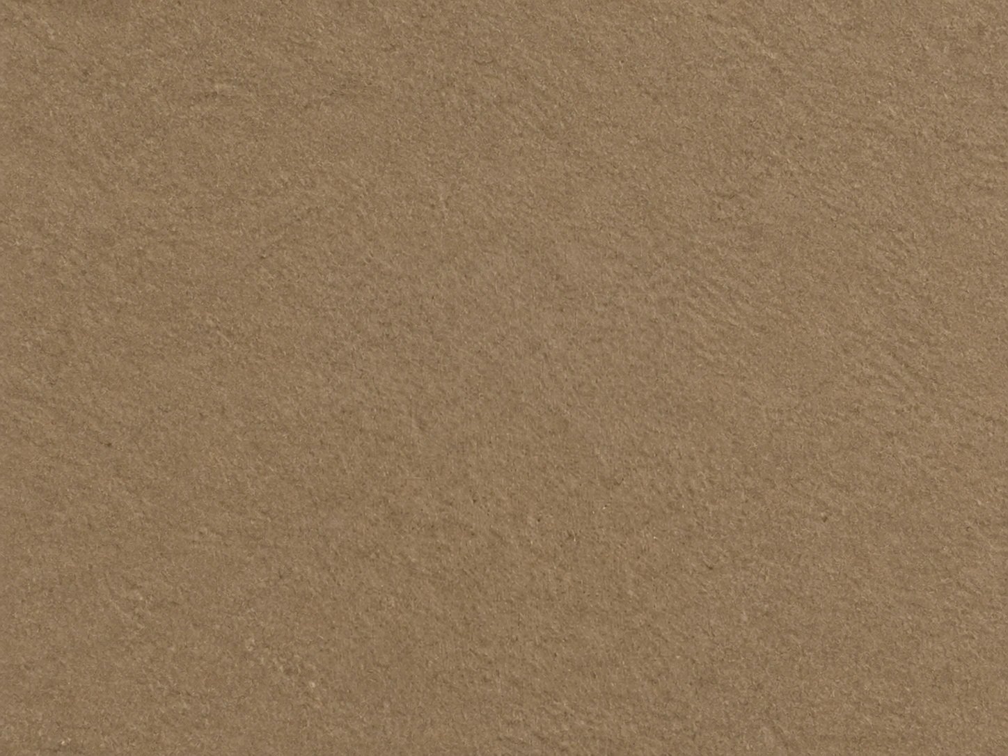 CalceCruda — decorative paint surface sample, code 20506