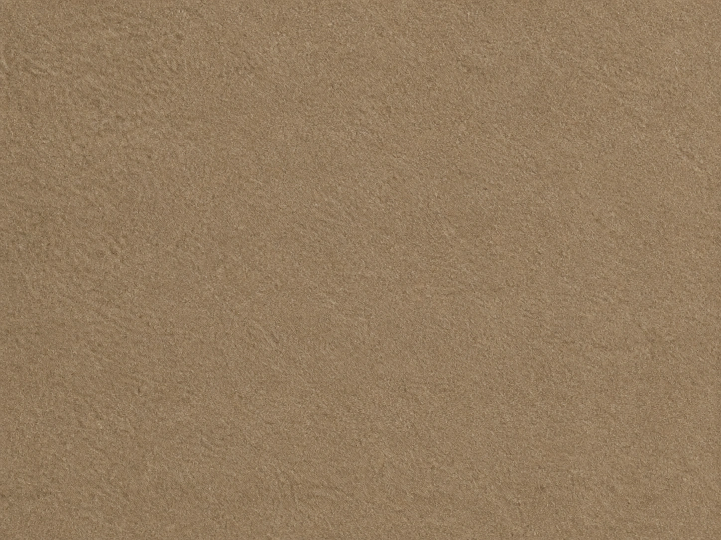 CalceCruda — decorative paint surface sample, code 20509