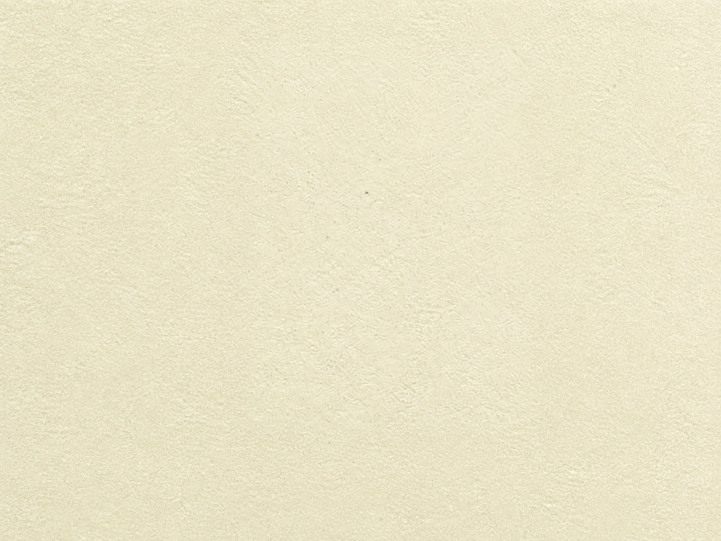CalceCruda — CAL.T.STUCCO 16063 kodlu dekorativ boya səth nümunəsi