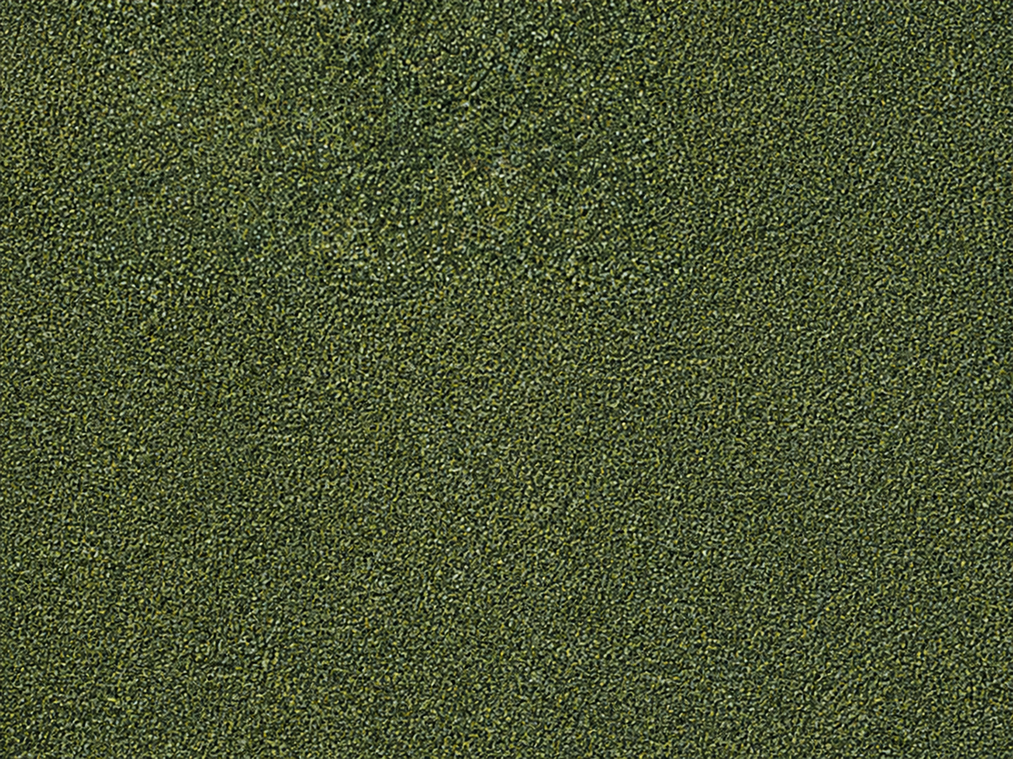 Dune — decorative paint surface sample, code DG 14212