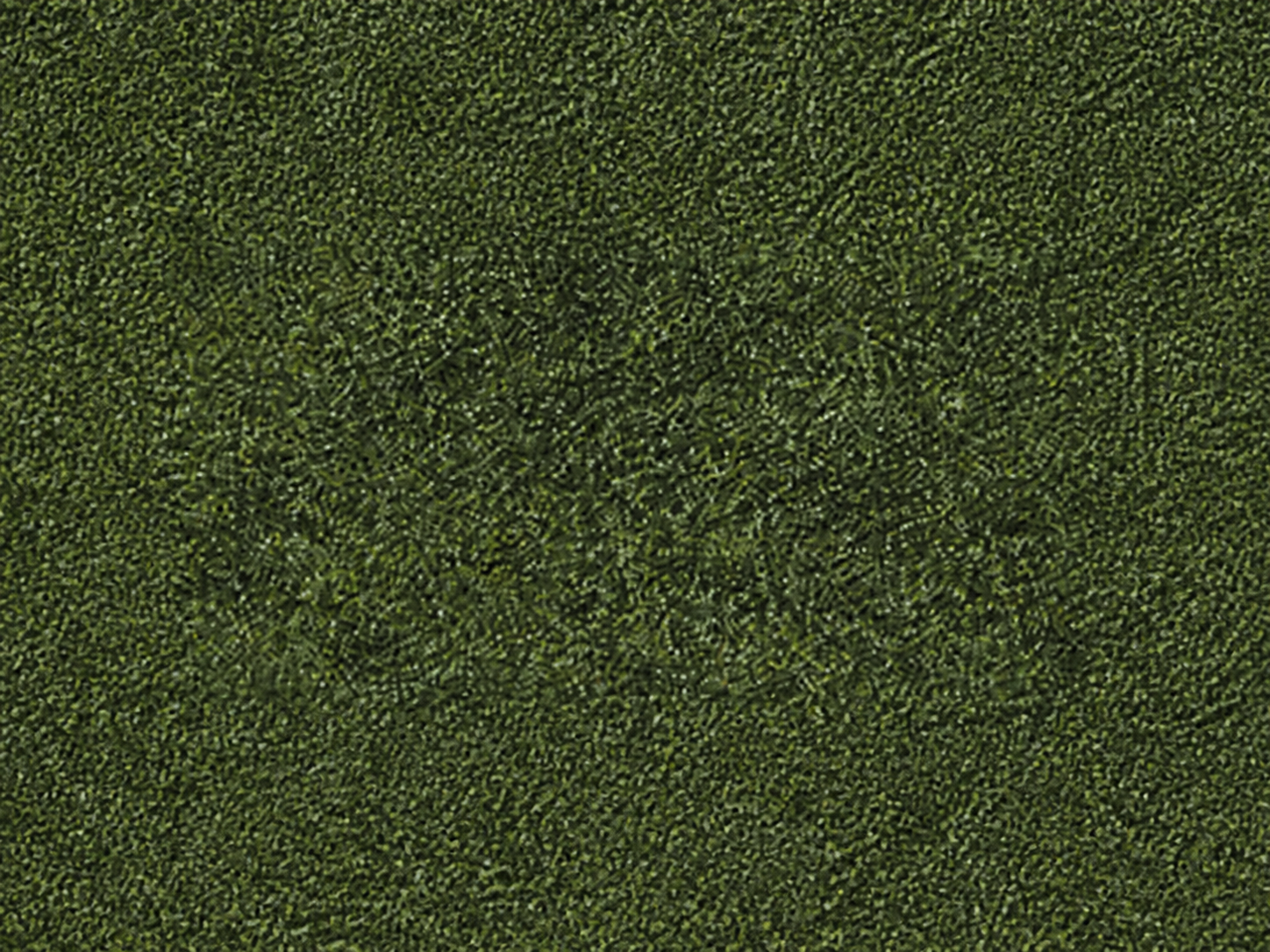 Dune — decorative paint surface sample, code DG 14213