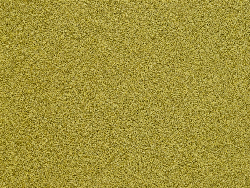 Dune — DG 14220 kodlu dekorativ boya səth nümunəsi