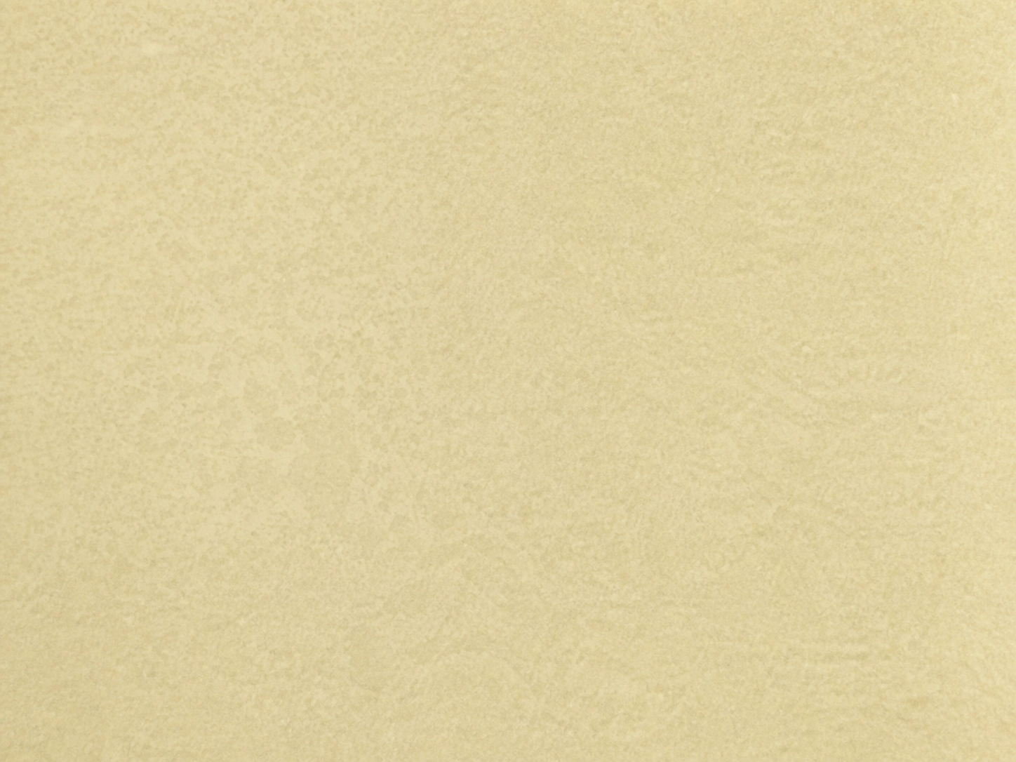 CalceCruda — decorative paint surface sample, code 17025