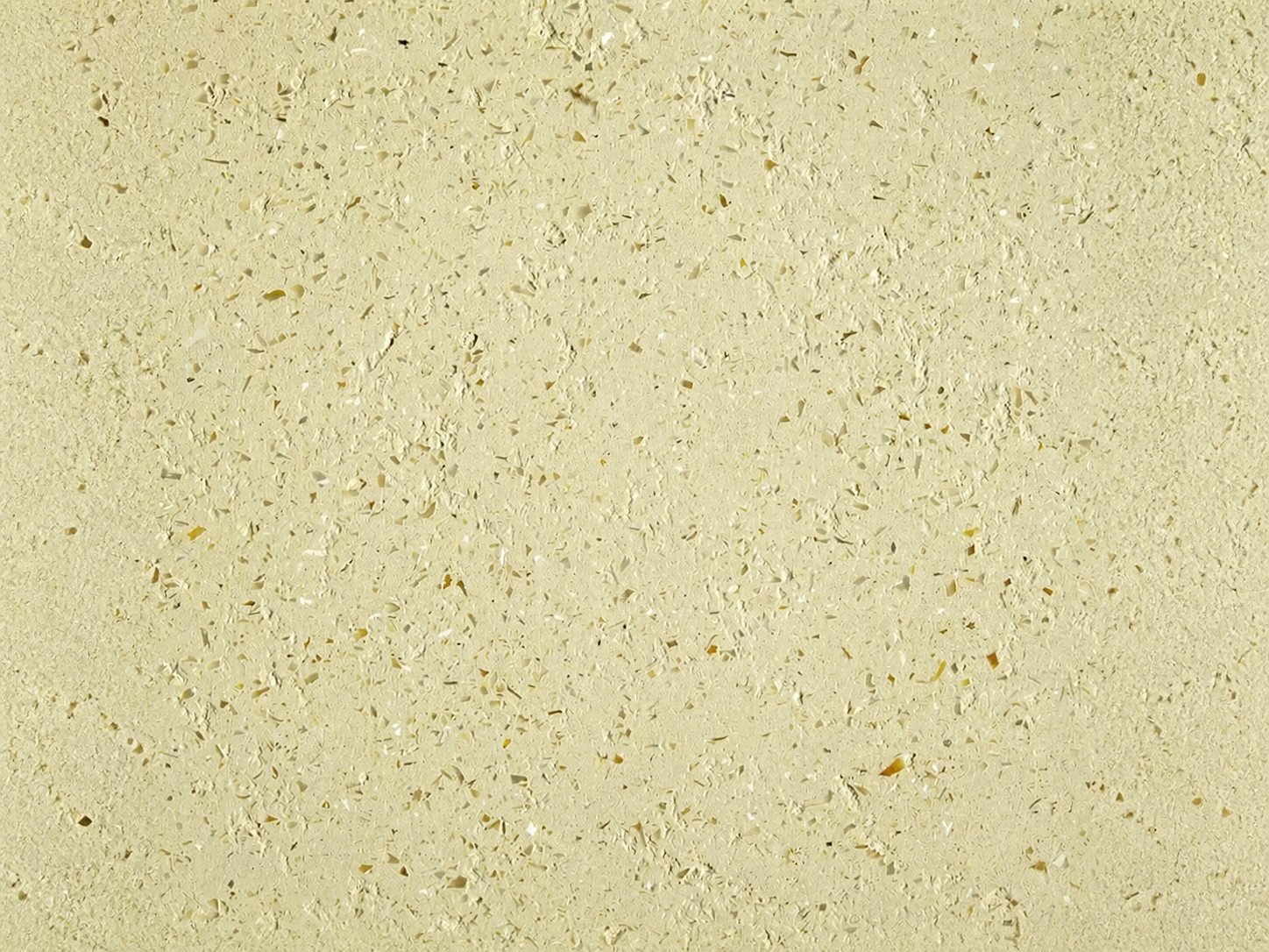 Materia viva — conchiglia kodlu dekorativ boya səth nümunəsi