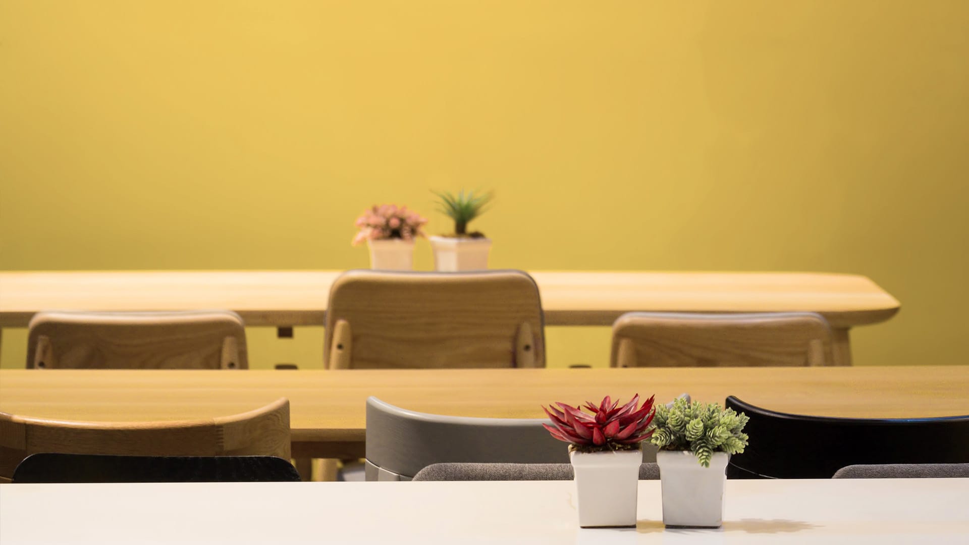 Novacolor decorative paint catalogue